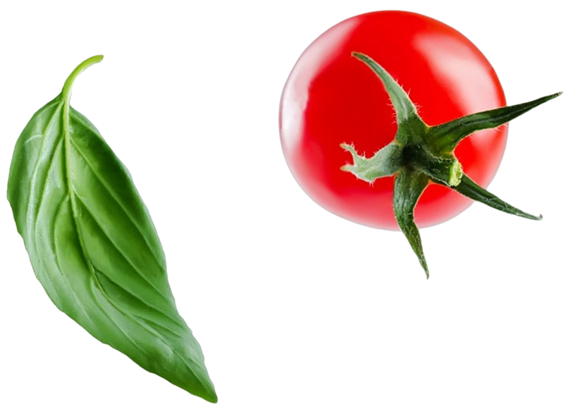 basic tomato 1